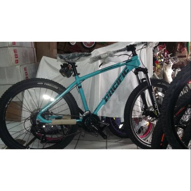 pacific masseroni 3.0