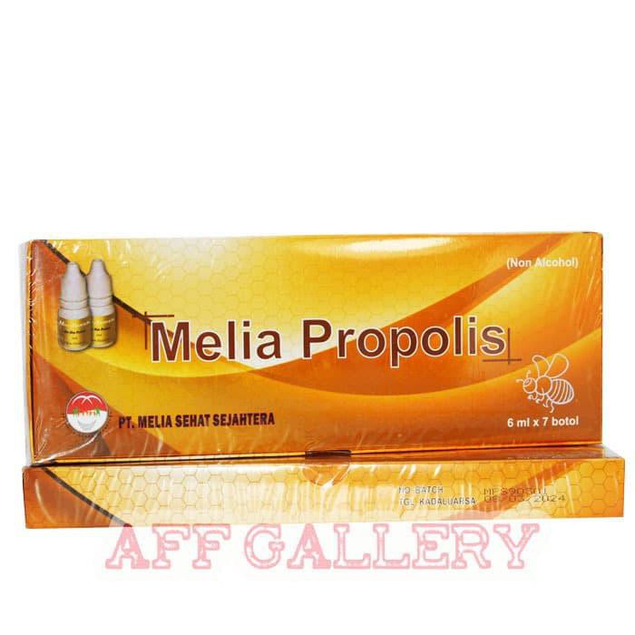 PAKET PROPOLIS MELIA SEHAT SEJAHTERAH BOX ORIGINAL 