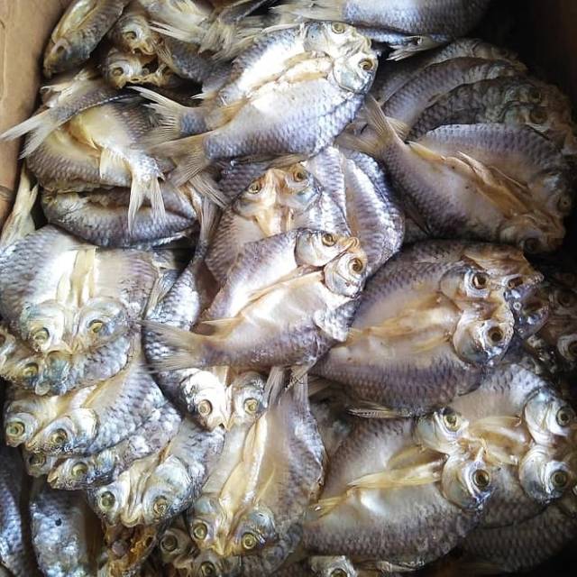 

IKAN ASIN TAWES [125gr]