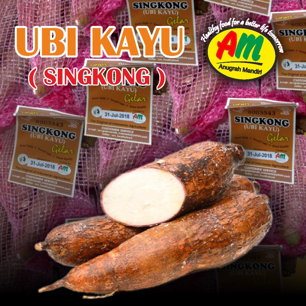 

Singkong - AM Ubi Kayu (Singkong)