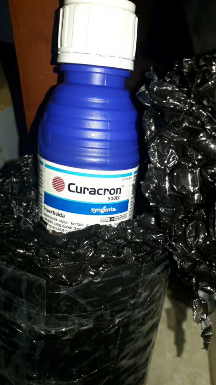 Insektisida Pembasmi Hama Kutu Putih Curacron 500ec-100ml