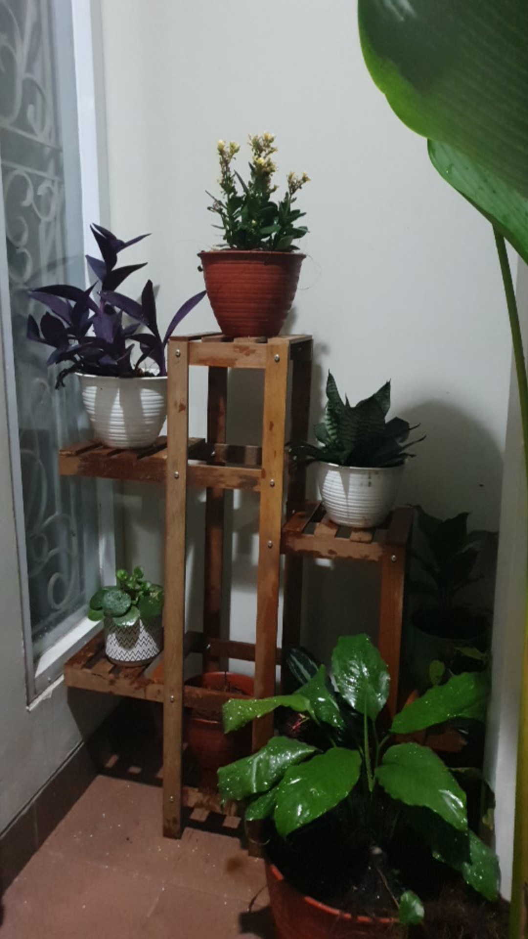 Rak Kayu Ulin Minimalis