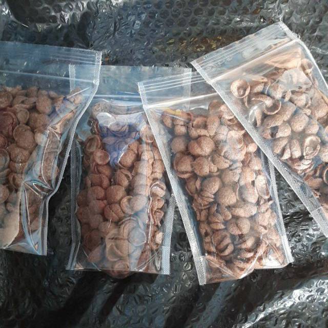 

Cococrunch