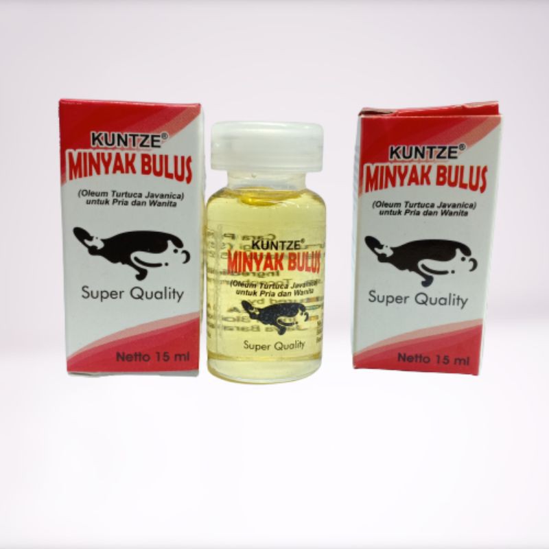 MINYAK BULUS KUNTZE BPOM super Quality