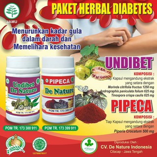 Obat Herbal Alami Diabetes – Tanaman Herbal Pedia