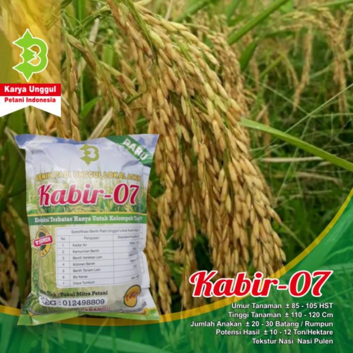 Benih Padi Unggul Kabir 07 / Bibit Padi Unggul Kabir 07
