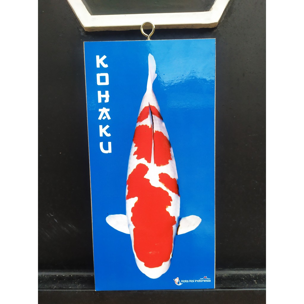 Wall Decor Ikan Koi "KOHAKU 10x20cm"