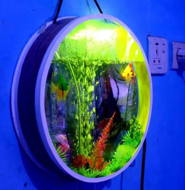 64 Contoh Aquarium Gantung Gratis Terbaik