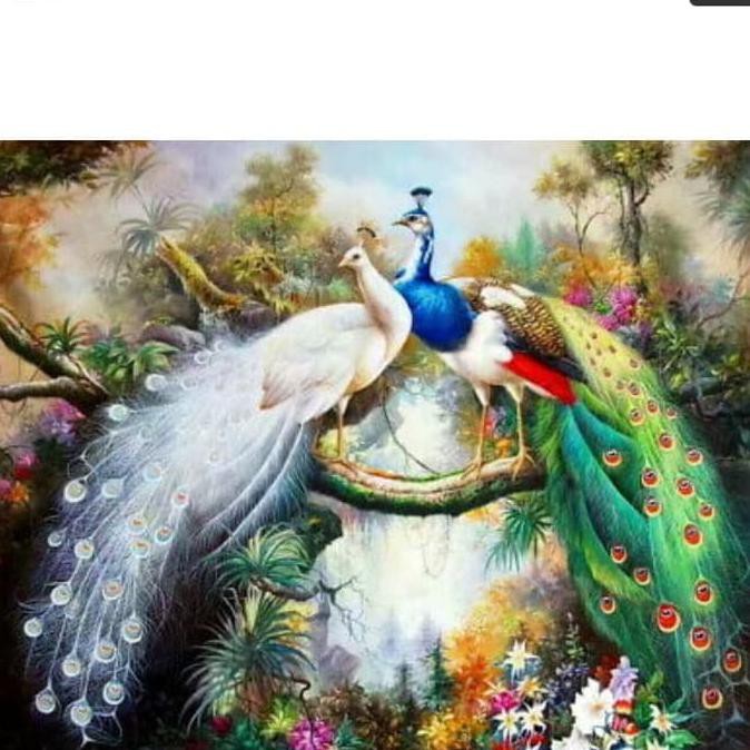 760 Gambar Burung Merak Lukisan Gratis Terbaru