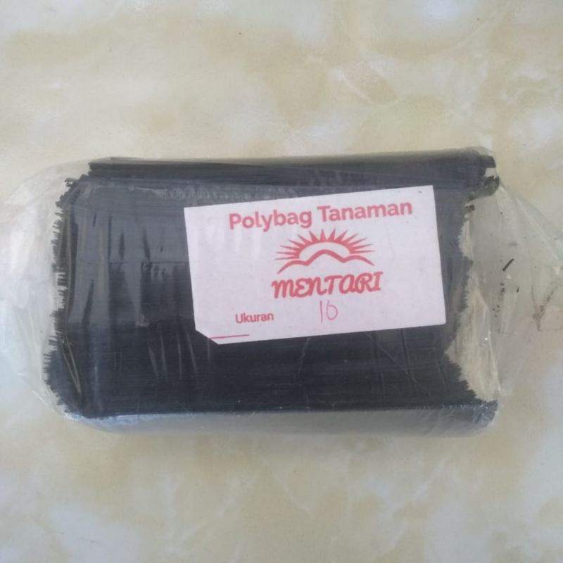 polibag ukuran 10 1kg