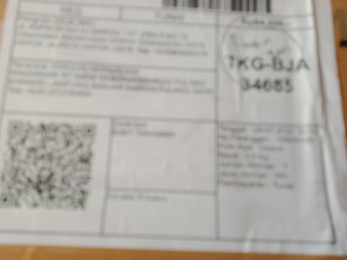 Anggrek Den White Diamon Star