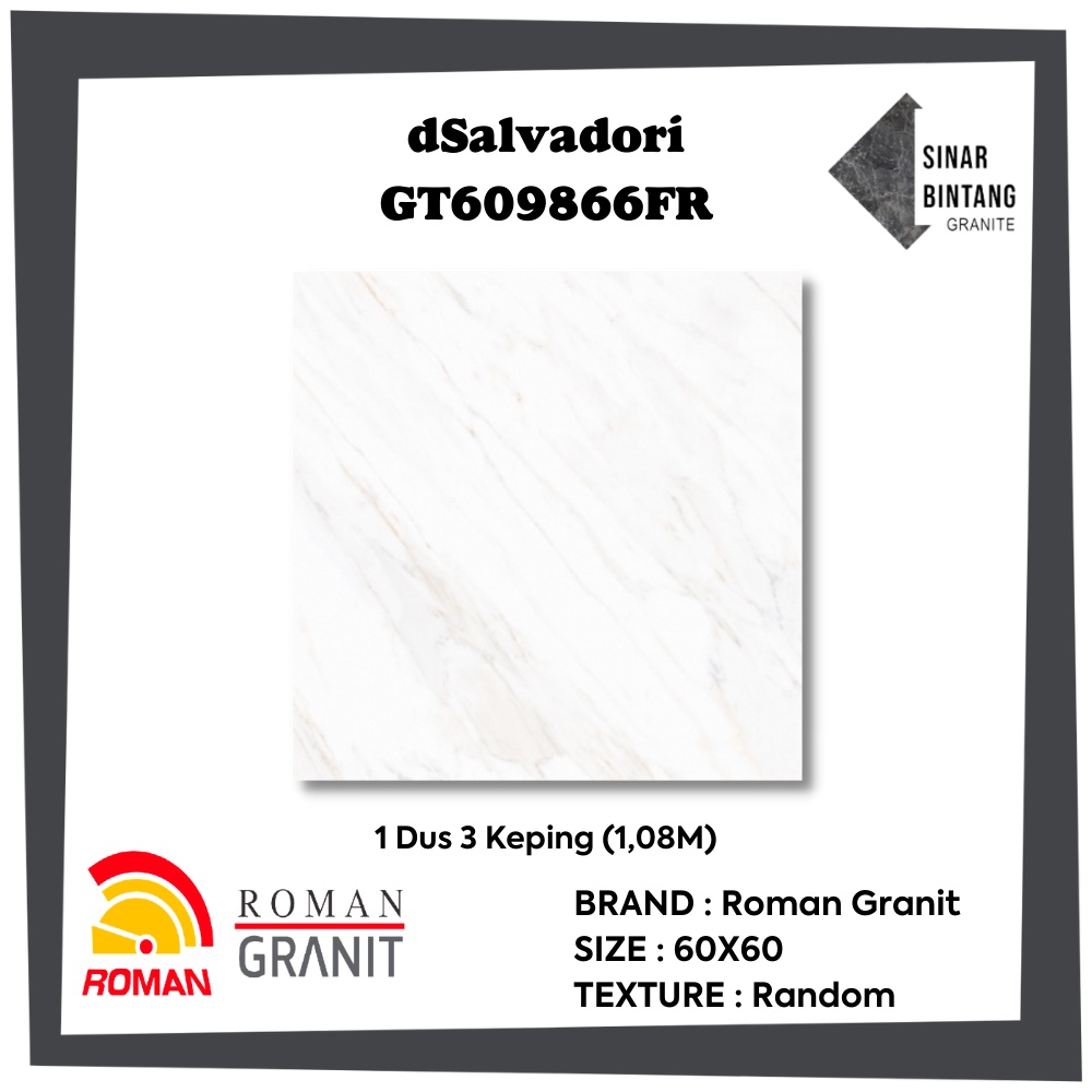 Granit 60 X 60 | Granit Lantai dSalvadori GT609866FR ROMAN GRANIT