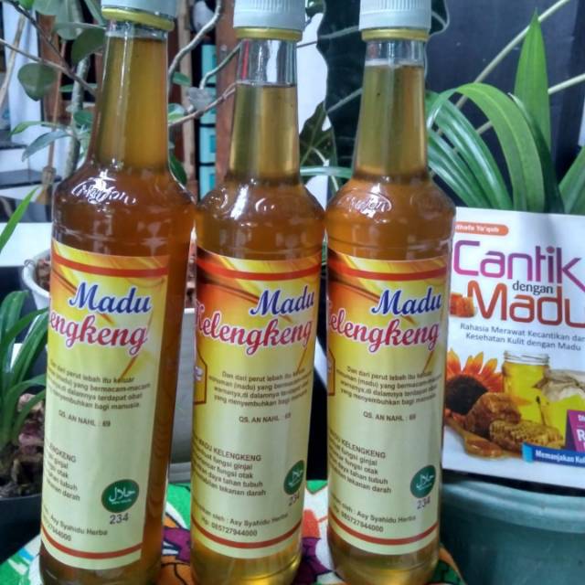 

Madu Kelengkeng