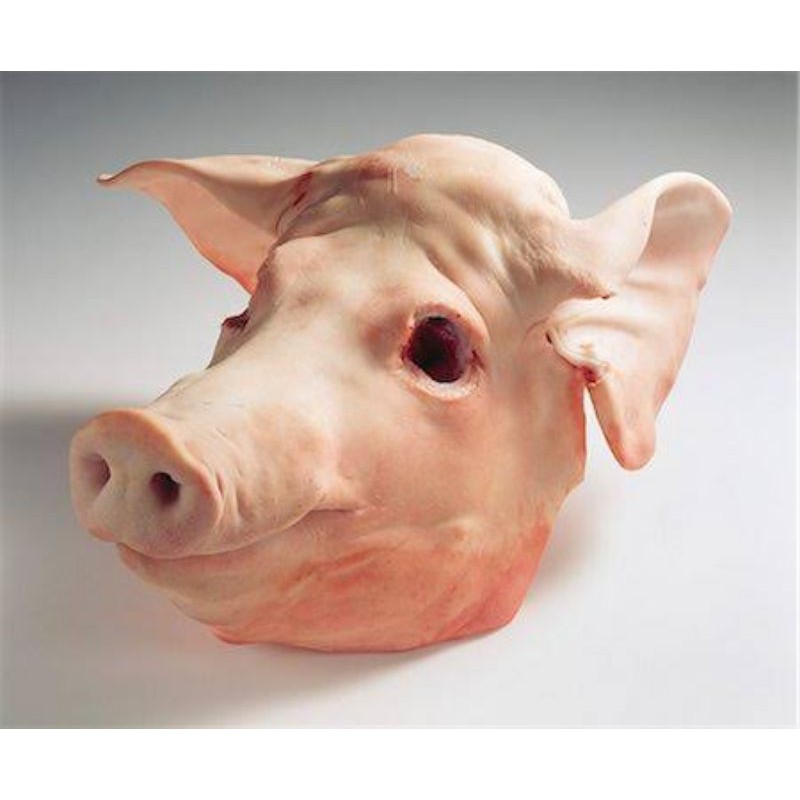 

Kepala babi mentah utuh segar / fresh pig head (daging babi fresh kualitas supermaket) per pcs
