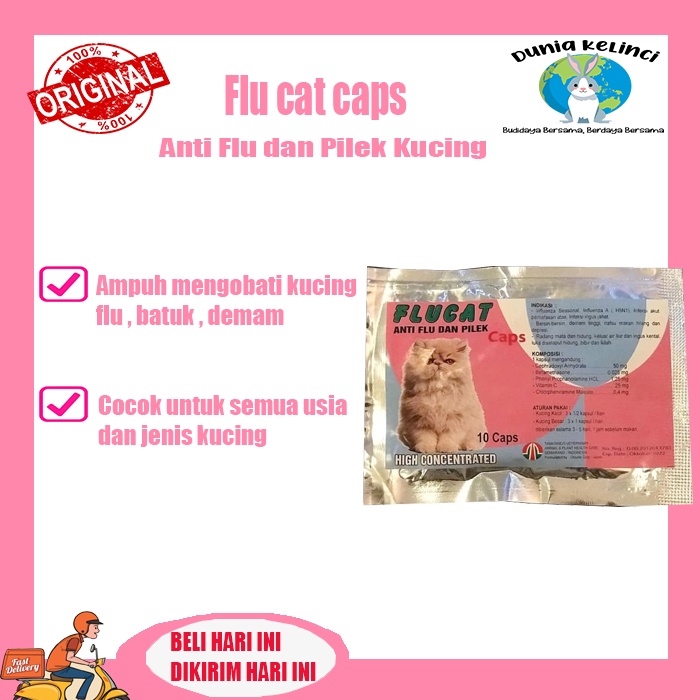 OBAT FLU BATUK DAN PILEK KUCING FLUCAT CAPS KAPSUL