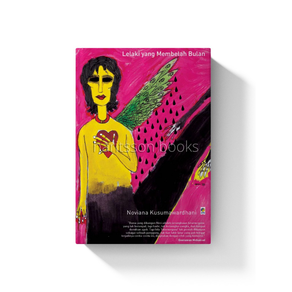 Buku Cerpen - Lelaki yang Membelah Bulan - Noviana Kusumawardhan