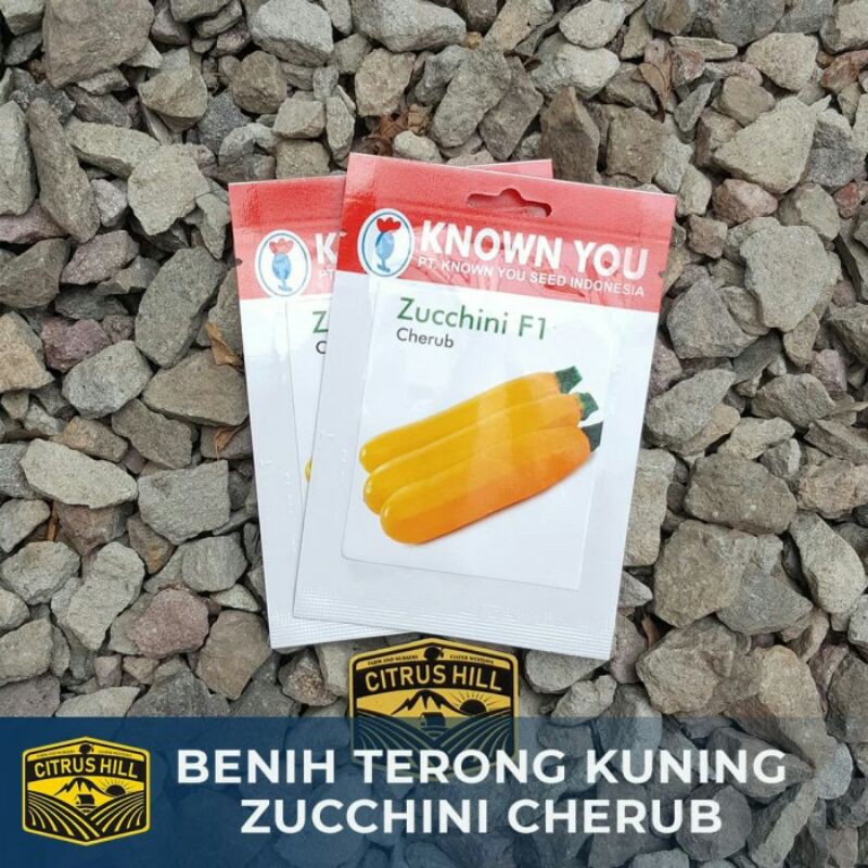 Benih Terong Kuning Zucchini Cherub Known You Seed SP
