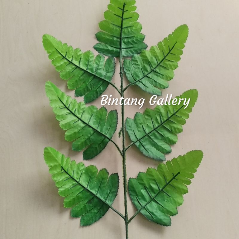 Daun Pakis &amp; Daun Monstera 7 Daun / Daun pakis kain