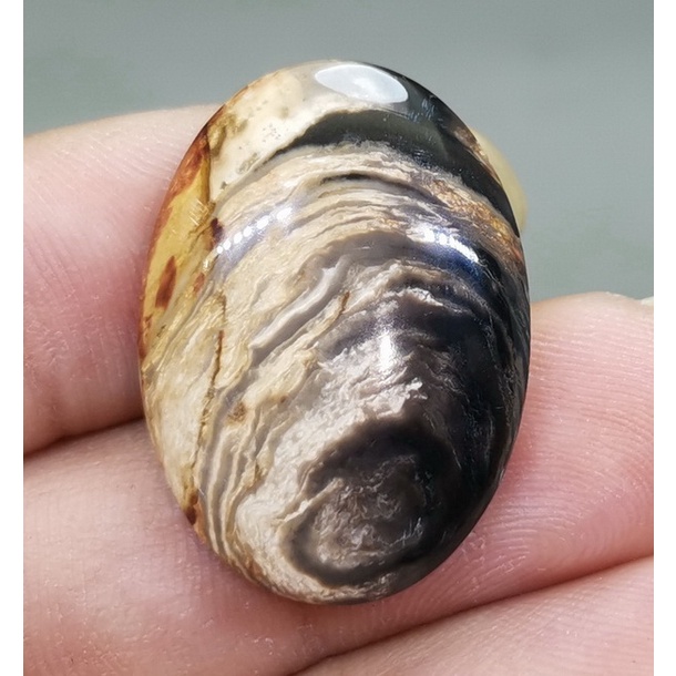 Batu Akik Natural Fosil Galih Kelor Asli Hitam Coklat