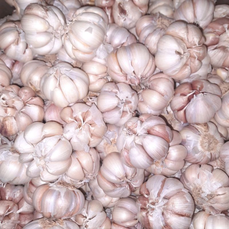 

BAWANG PUTIH 250 GRAM MURAH