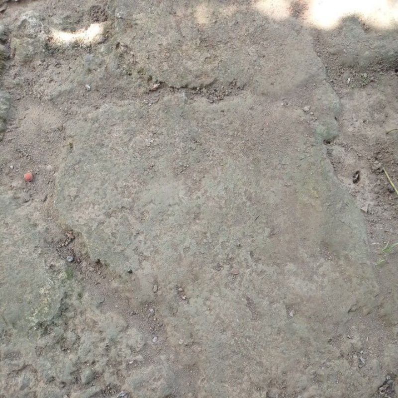 

BUBBLE GUM YANG CERDAS