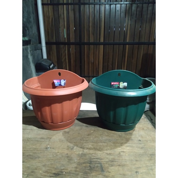 Pot dinding Lion star