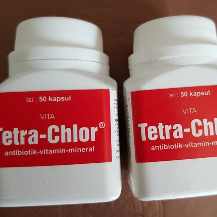 vita tetra chlor obat vitamin ayam berak kapur pilek ngorok korisa crd