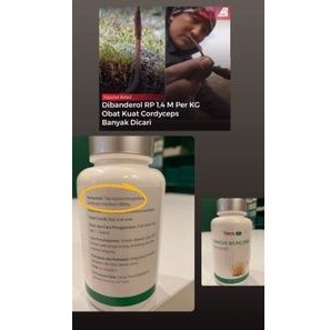 TIENS MUNCORD 100% ORIGINAL