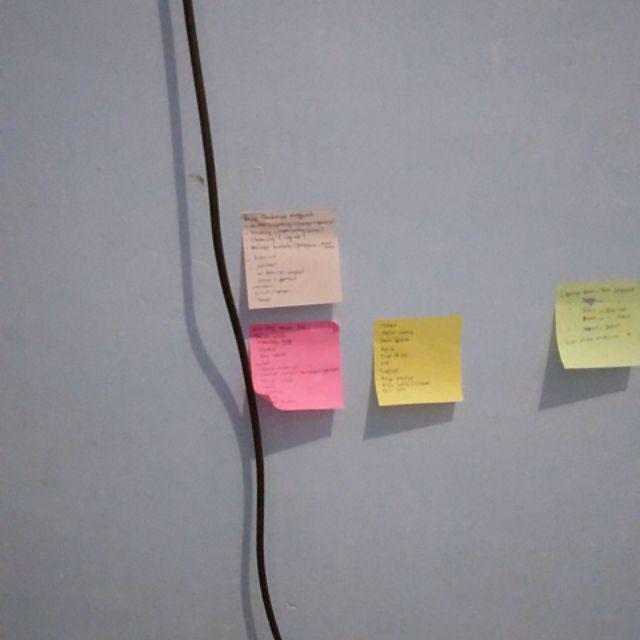 Grosir Bibit Bidara Harga Murah Minimal 50 Pcs