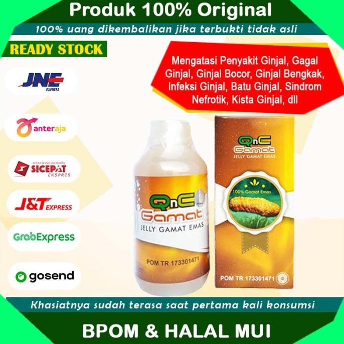 Obat Pembersih Ginjal Kotor, Ginjal Rusak, Ginjal Kronis Herbal