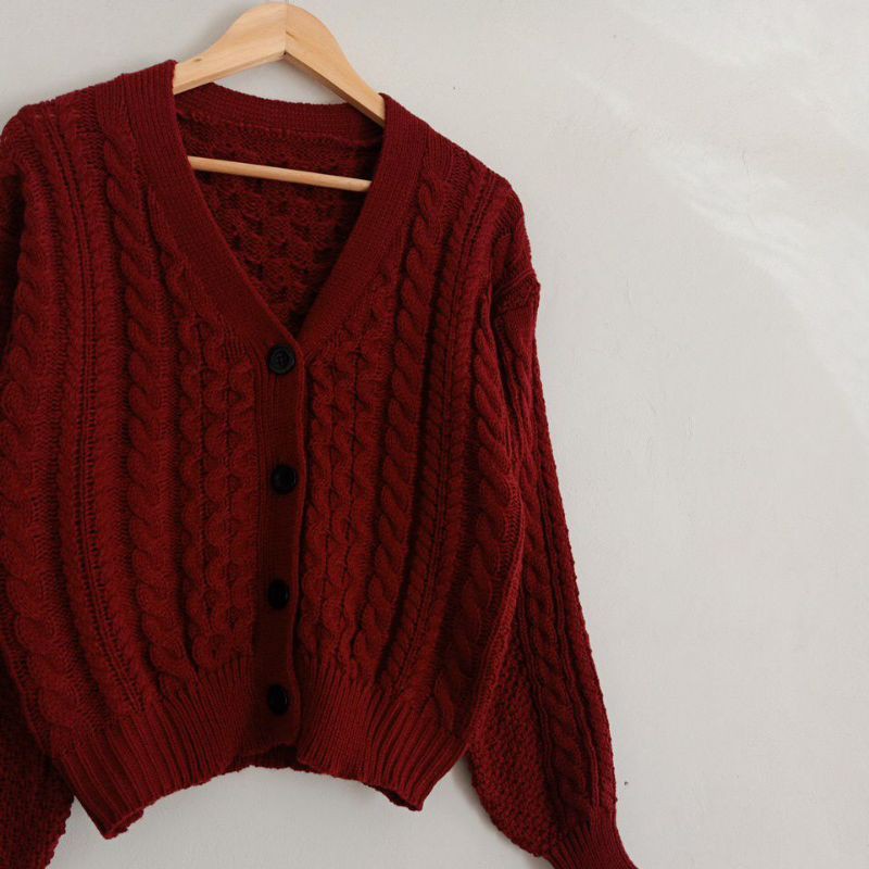 Lalisa Cardi Delani.project