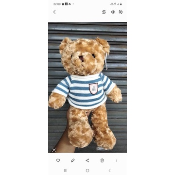 Boneka Teddy Bear Sweater Esklusif teddy Boneka teddy bear sweater amerika usa 25cm beruang