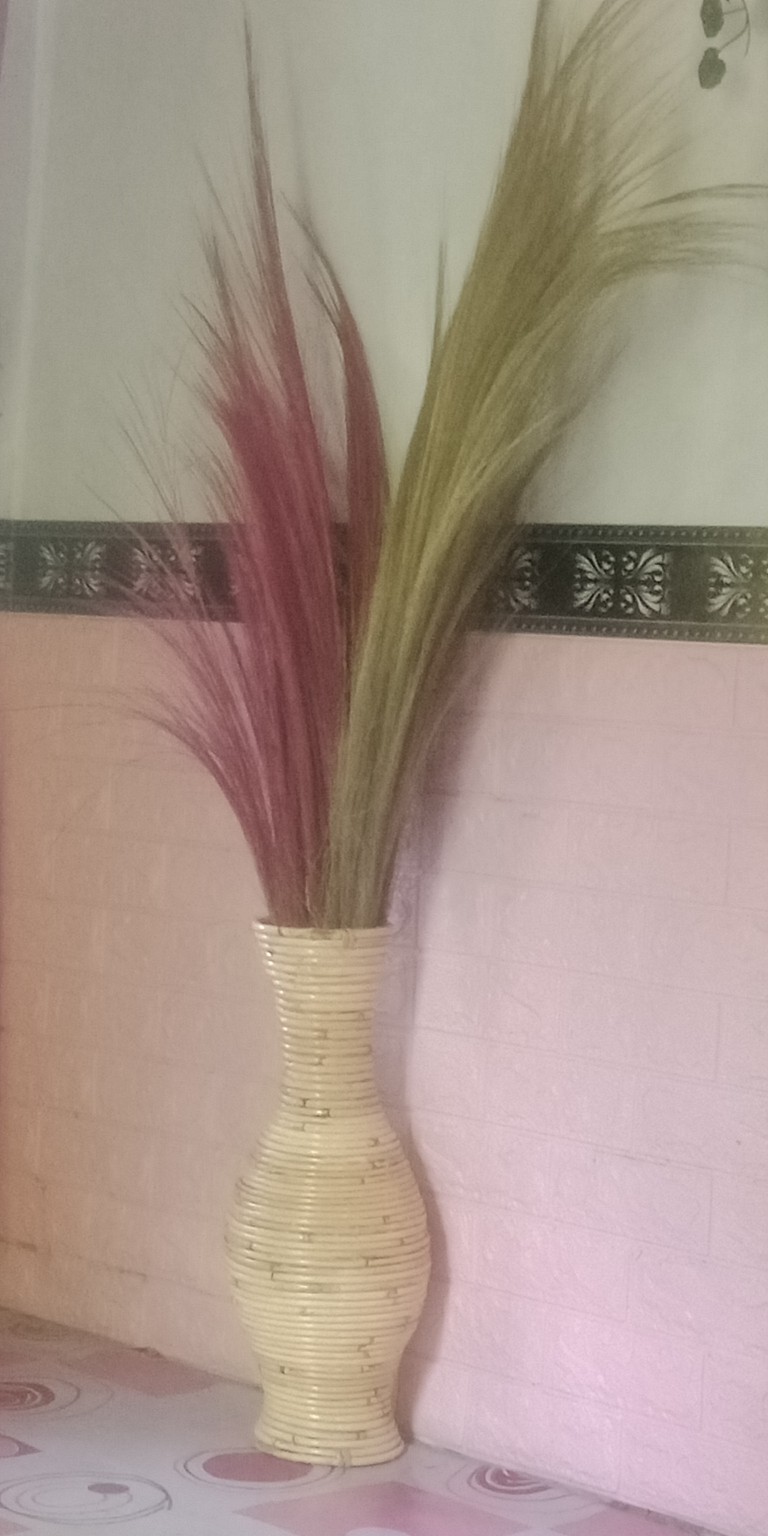 Daun Palm Kering Ukuran 30cm | Dried Palm Leaves | Dried Flowers