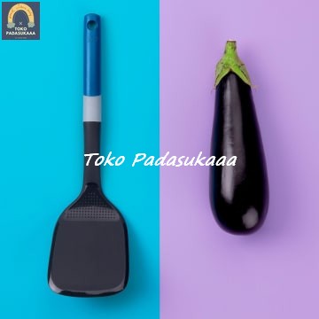 

Alat Dapur Tasty Spatula Dengan Parutan - Navy