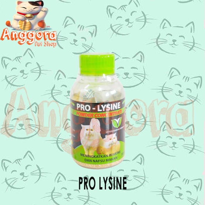 Vitamin immune dan nafsu makan - Pro lysine kucing 50 gram