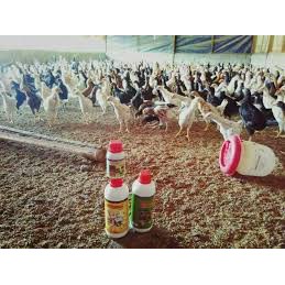 Paket Vitamin Organik Ternak Ayam Pedaging Dan Bebek Pedaging / Agen Nasa Resmi