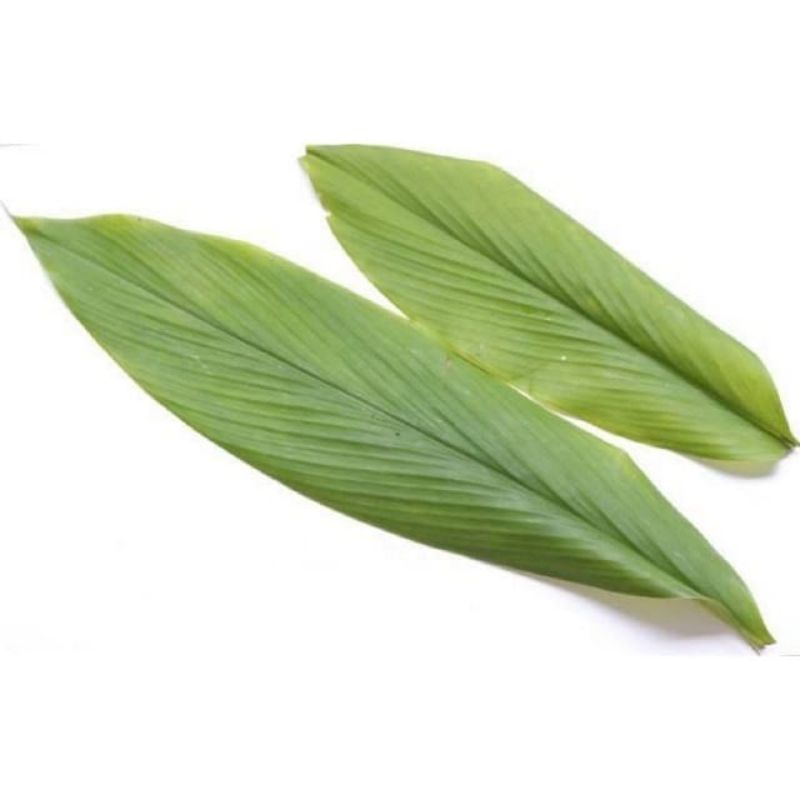

daun kunyit segar 100gr fresh organik