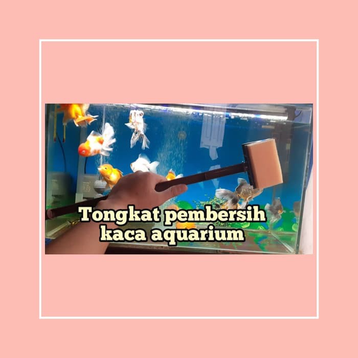 Alat Pembersih Kaca Aquarium Mobil Nako Gagang Paralon 40cm/Scraper