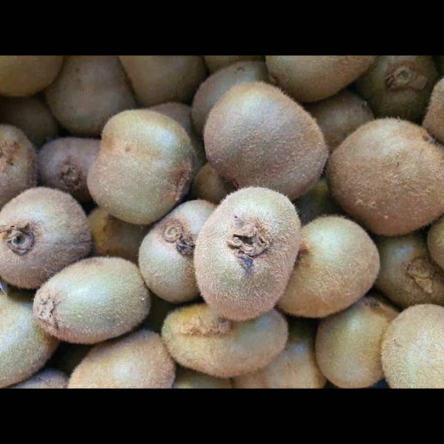 

Kiwi Zepri Hijau
