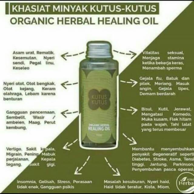 Minyak kutus kutus - Original