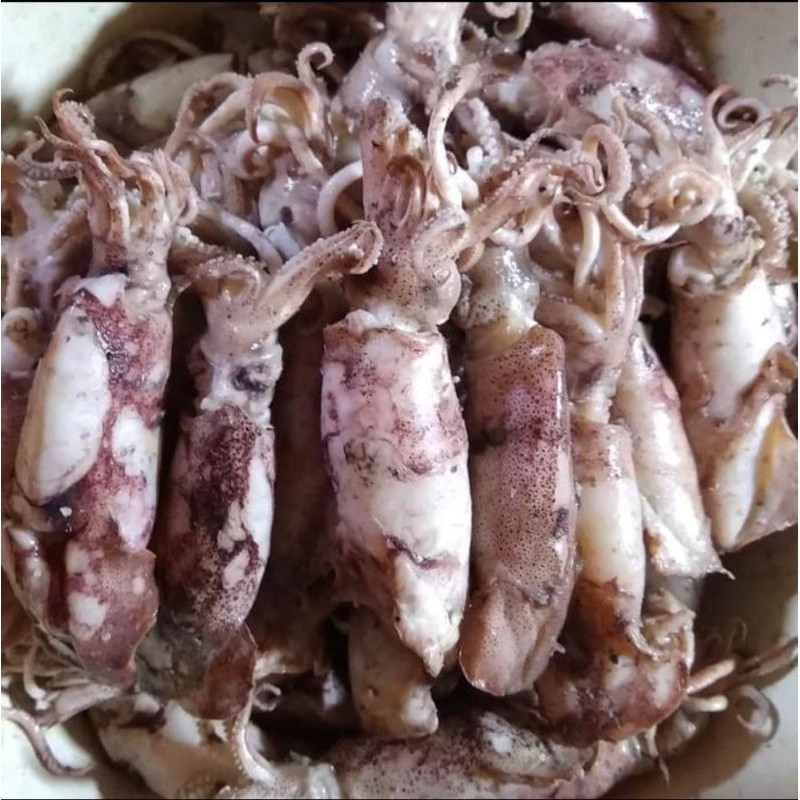 

IKAN ASIN CUMI SONTONG SUPER 1KG