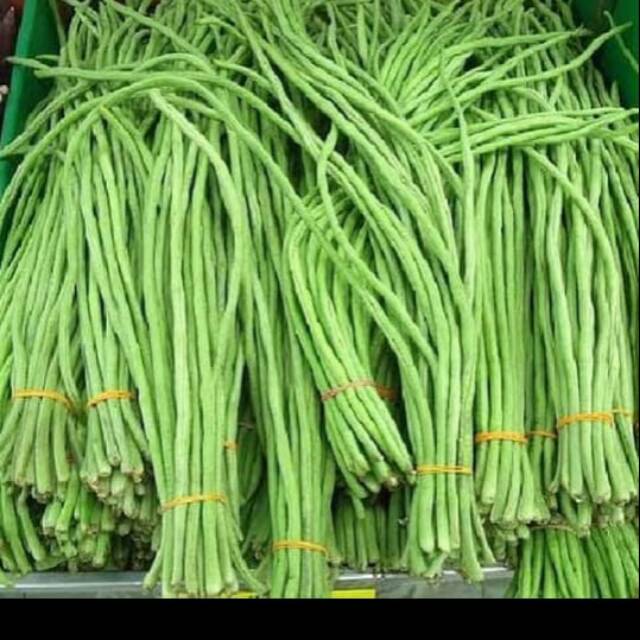 

Kacang panjang segar