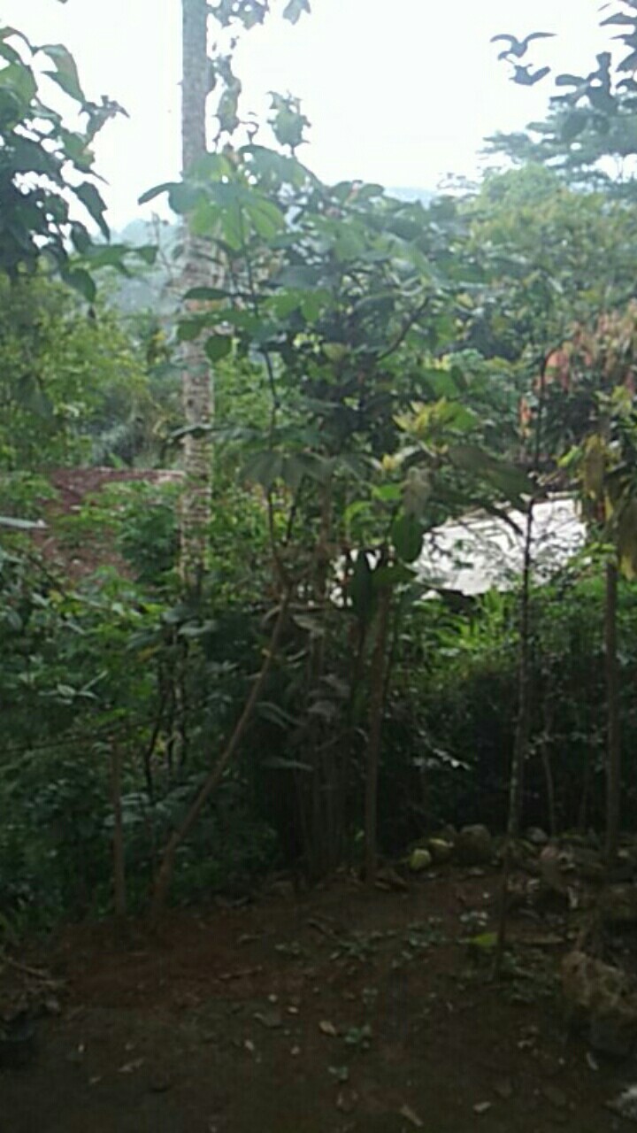 Kemasan Kopi Kemasan Masker Bubuk Kemasan Plastik Standing Pouch 9x15