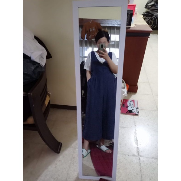 link co 300