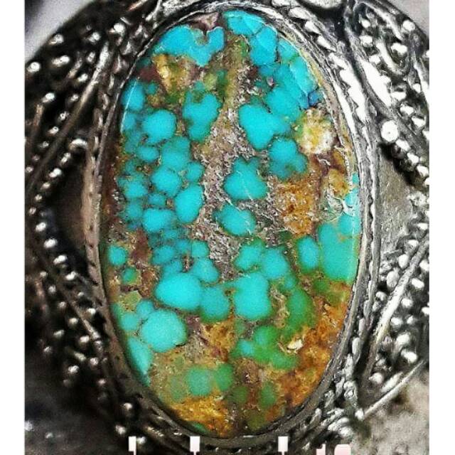 Pirus Persia Serat Emas Pyrus Turquoise