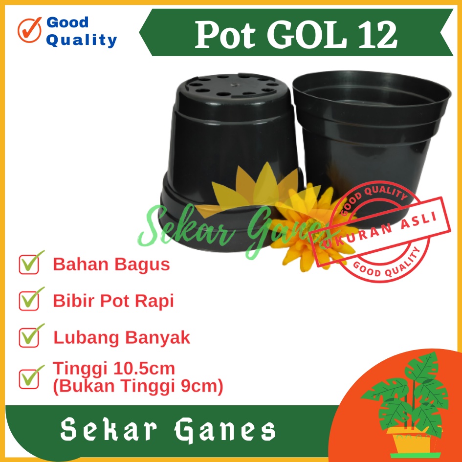 Lusinan Pot 12 Cm Hitam Polos - Pot 12 Hitam Kecil Mini Minimalis Plastik Kaktus Sukulen Mini Murah Pot Bibit Pembibitan - Pot 12 Cm Grosir Lusinan