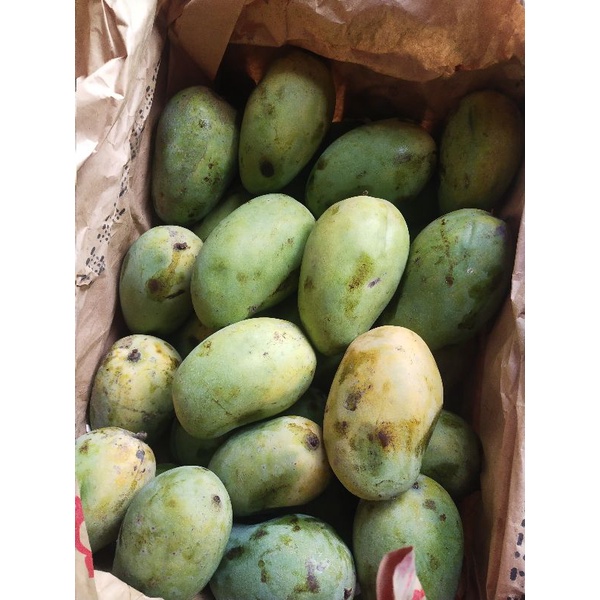 

Mangga harum manis