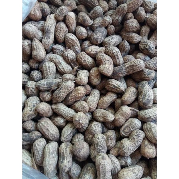 

kacang tanah mentah kulit 1kg