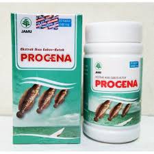 PROCENA EKSTRAK IKAN GABUS 60 KAPSUL