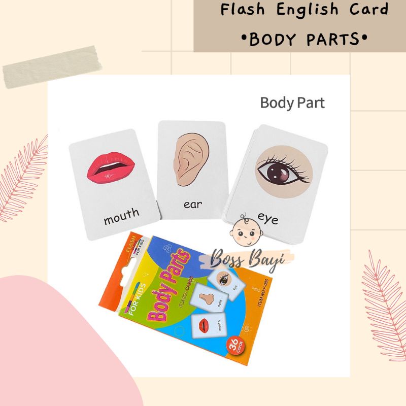 BOSS BAYI - Flash English Card / Mainan Kartu Bergambar Belajar Bahasa Inggris Anak